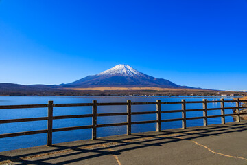 山中湖親水公園から見えた冬の青空と富士山