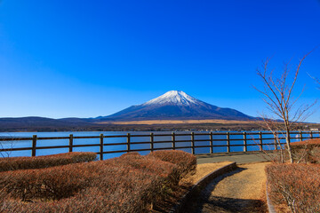 山中湖親水公園から見えた冬の青空と富士山