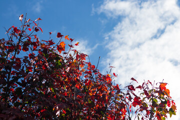 Travel to Phu Kradueng