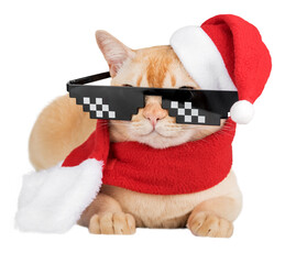 A ginger cat in a New Years costume and glasses