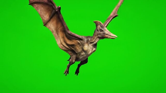 A pterodactyl flying against a green screen background with dramatic lighting.