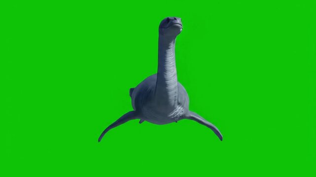 Gray pterodactyl flying against a green screen background