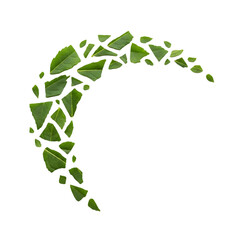 Leaf mosaic crescent shape
