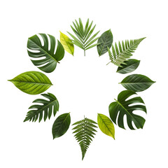 Circular leaf wreath collage
