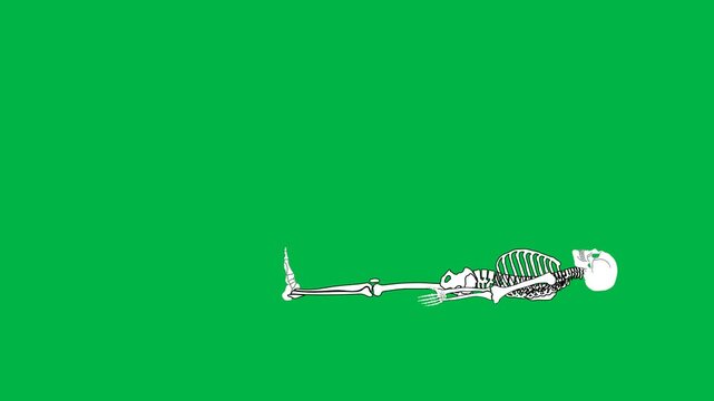 White skeleton dancing playfully with arms flailing on green screen chromakey background. Suitable for 2d animated cartoon animation Halloween, fun, or spooky party scenes.