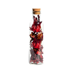 Red liquid in sealed glass bottle (decorative specimen)
