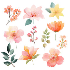 Fototapeta premium Set of elegant watercolor pastel flowers and botanical clipart isolated on white background