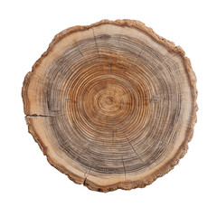 Obraz premium A textured cross section of an old wooden tree stump shows natural brown annual rings and a circular timber pattern on a cut log slice in the forest
