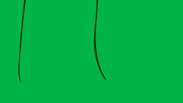 Monkey swinging on rope dynamically on green screen chromakey background. Ideal for 2d animated cartoon animation jungle gym, play, or adventurous primate movement.