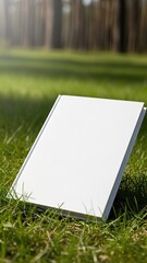 Cardboard Box Mockup Side View With Golden Hour Sunlight And Soft Shadows