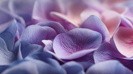 High-resolution close-up of fresh petals showing organic patterns and natural imperfections, photographed with shallow focus and smooth background blur for a minimal and professional stock style