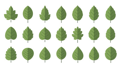 Grid of eighteen green stylized deciduous leaf illustrations