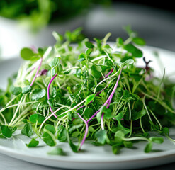Fresh Microgreen Salad Mix With Delicate Sprouts Served On White Plate
