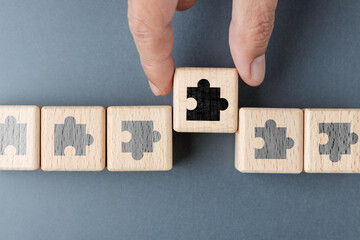 Missing piece solution completing a system through human decision