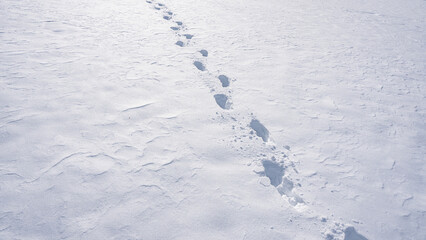 Winter trail covered with snowflakes. Snowy path winter design. Footpath in cold landscape. Footprints along snowy field. Snowy trail. Winter pathway with footstep. Footprint on snow surface.