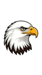 Obraz premium A regal bald eagle head, side profile, sharp details, isolated on white