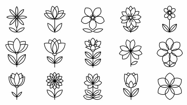 A diverse collection of minimalist flower outline icons, showcasing various floral shapes and petal arrangements in a clean, linear graphic design style for elegant decorative elements