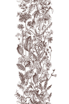 Medicinal plants vector seamless border