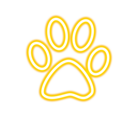 Bright yellow neon paw print glowing against a symbolizing pet love and animal care services on transparent background