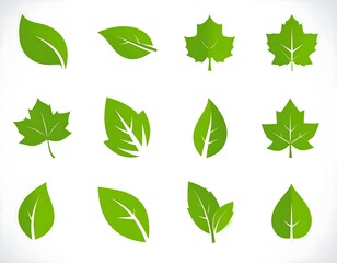 Assorted stylized green leaves, depicting various leaf shapes and designs