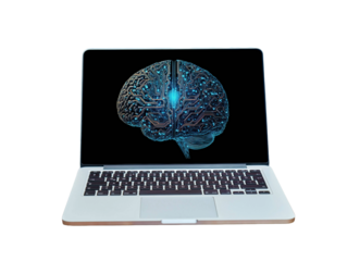 Brain theme is display on laptop screen. isolated on a transparent background.