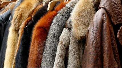 A collection of luxurious fur coats displayed on hangers.