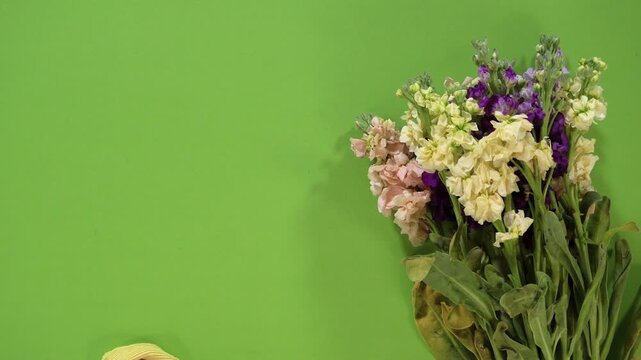 Stock Flower Bouquet Held in Lower Right Corner