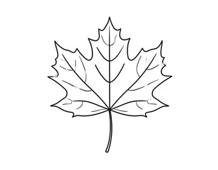 Black and white drawing of a maple leaf on white background
