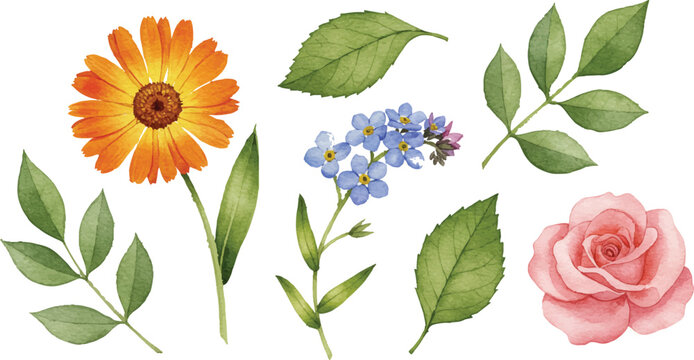 Watercolor floral vector mega collection. Huge bundle of hand painted roses, lilies, sunflowers, tulips, and wildflowers with wreaths, bouquets, and frames isolated on white background.