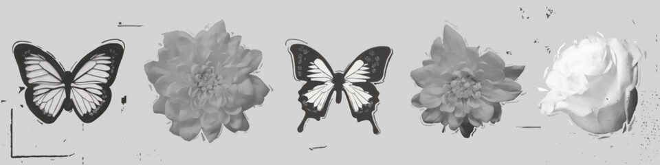 Obraz premium Flower and butterfly photocopy set isolated on background. Vector realistic illustration of vintage halftone stickers with negative grain effect, y2k bitmap collage elements, summer nature poster