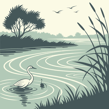 Swan on a pond with cattails and trees water