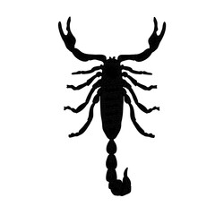 Scorpion black silhouette with body and pincers vector illustration. Graphic element for Scorpio zodiac sign or nature theme. Monochrome shape of a dangerous insect.