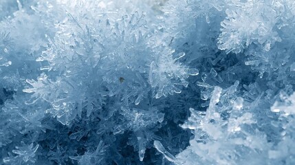 Fototapeta premium Ice Crystal Winter Texture