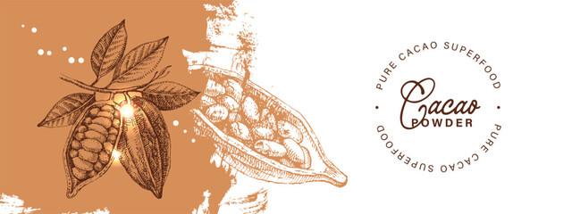 Hand drawn sketch cocoa chocolate product background. Vintage vector illustration of natural healthy food. Packaging design of cacao powder