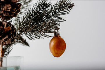 Minimal Christmas tree concept with onion hanging on fir branch. Natural holiday decor and Scandinavian winter styling.