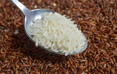 Red and white rice in a spoon.

Red rice is rice that is colored red due to natural anthocyanin...