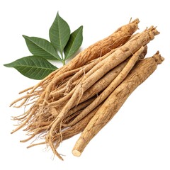 Raw Ashwagandha (Withania somnifera) Roots Isolated on Transparent Background