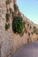 Old stone fortress wall with green plants growing on rocks in Mediterranean town