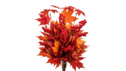 Isolated bouquet of fall leaves and berries for holiday decor or seasonal greetings, Thanksgiving © Natasha