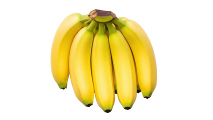 Isolated bunch of delicious ripe yellow bananas, a nutritious fruit and healthy snack option