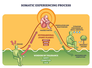 Somatic experiencing process outline, trauma vortex atop an arousal curve, with figures and arrows guiding pendulation and titration within the window of tolerance. Outline diagram