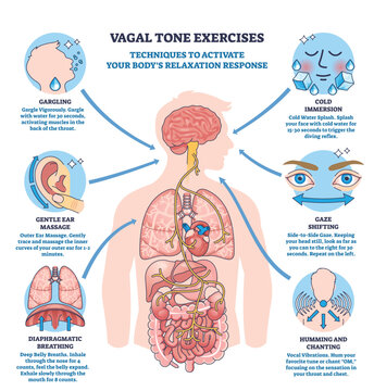 Vagal tone exercise diagram visualizes the vagus nerve pathway with brain, heart and gut, summarizing relaxation techniques and breath, gaze, gargle cues for calming. Outline diagram