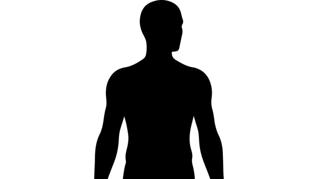 Male torso silhouette with transparent background