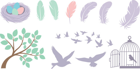 Illustrations of birds and feathers