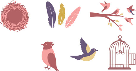 Illustrations of birds and feathers