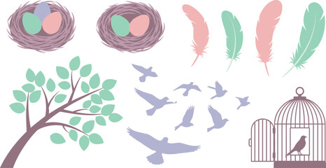 Illustrations of bird nests, feathers, and birds