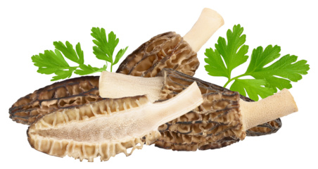 detailed photograph of freshly picked morel mushrooms with parsley, showcasing the unique texture and natural beauty, suitable for culinary and nature themed content.