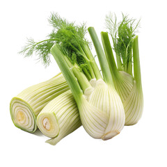 fennel and onion