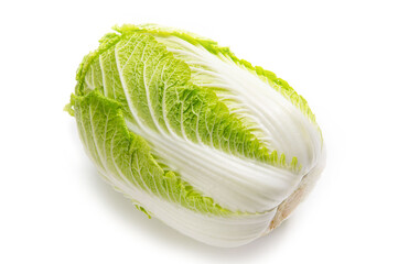 日本の冬野菜の白菜