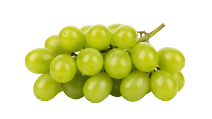 Isolated bunch of green grapes, healthy whole fruit, still life, ripe and juicy produce